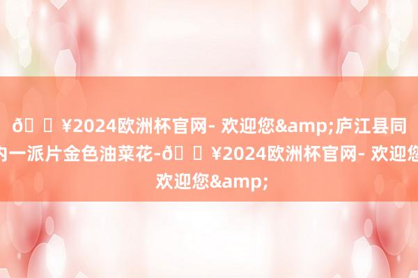 🔥2024欧洲杯官网- 欢迎您&庐江县同大镇境内一派片金色油菜花-🔥2024欧洲杯官网- 欢迎您&