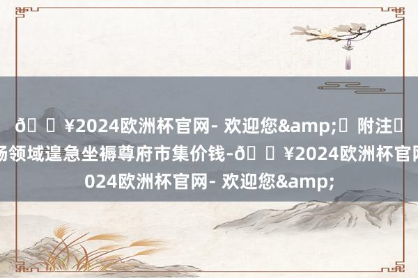 🔥2024欧洲杯官网- 欢迎您& 附注 1.主义施展 流畅领域遑急坐褥尊府市集价钱-🔥2024欧洲杯官网- 欢迎您&