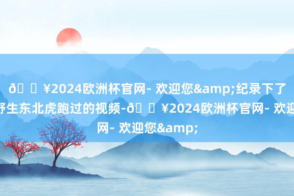 🔥2024欧洲杯官网- 欢迎您&纪录下了疑似一只野生东北虎跑过的视频-🔥2024欧洲杯官网- 欢迎您&